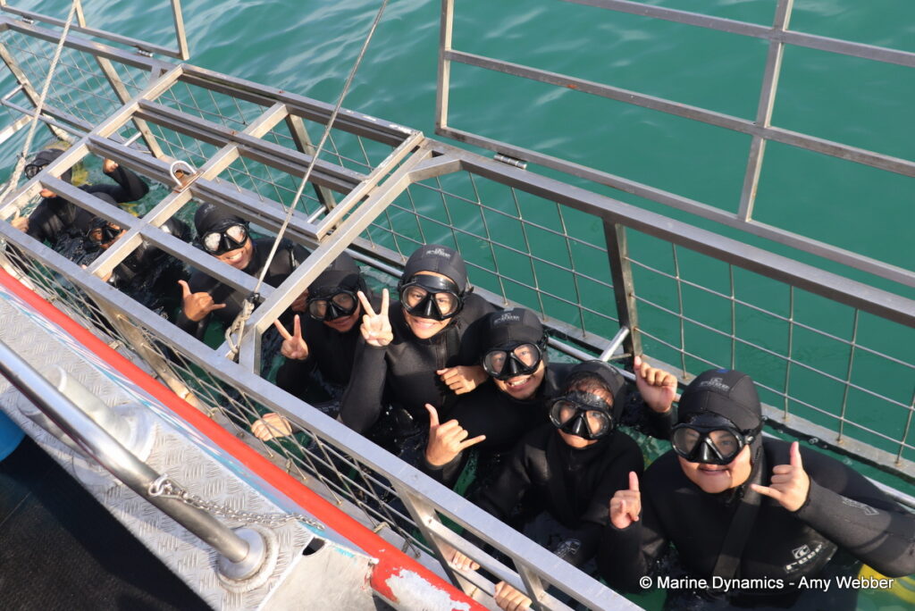 Shark cage diving, Gansbaai, South Africa