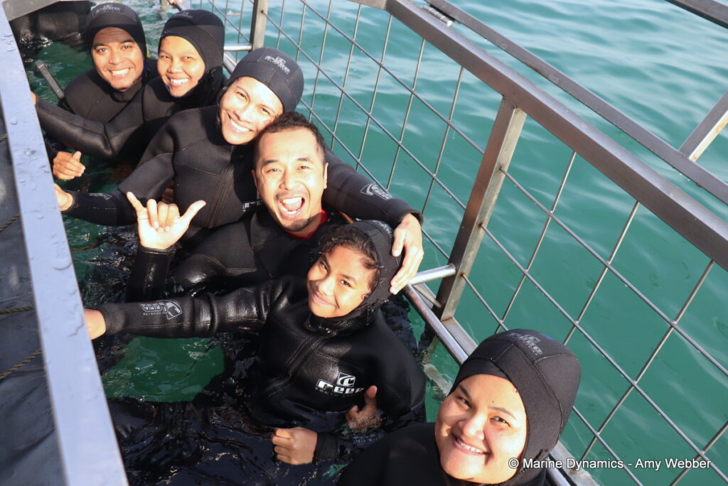 Shark cage diving, Gansbaai, South Africa