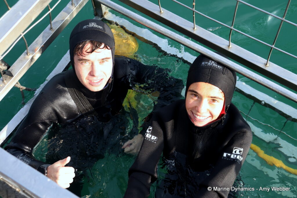Shark cage diving, Gansbaai, South Africa