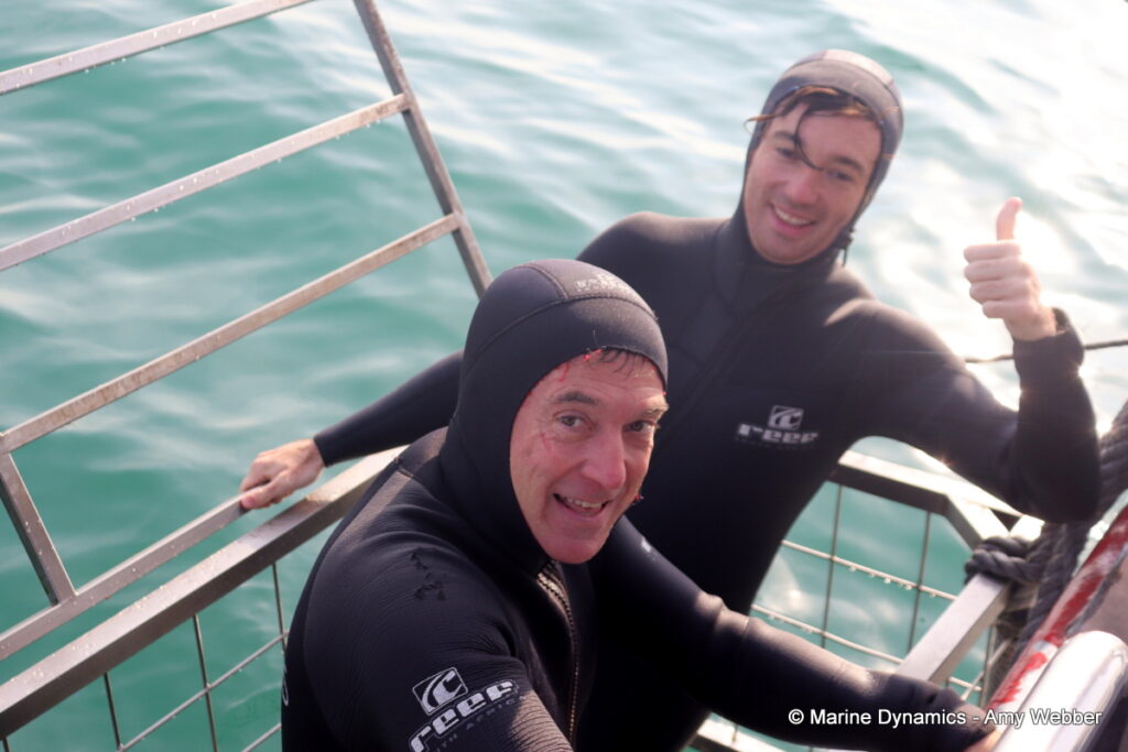 Shark cage diving, Gansbaai, South Africa