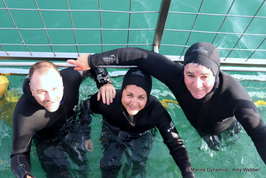 Shark cage diving, Gansbaai, South Africa