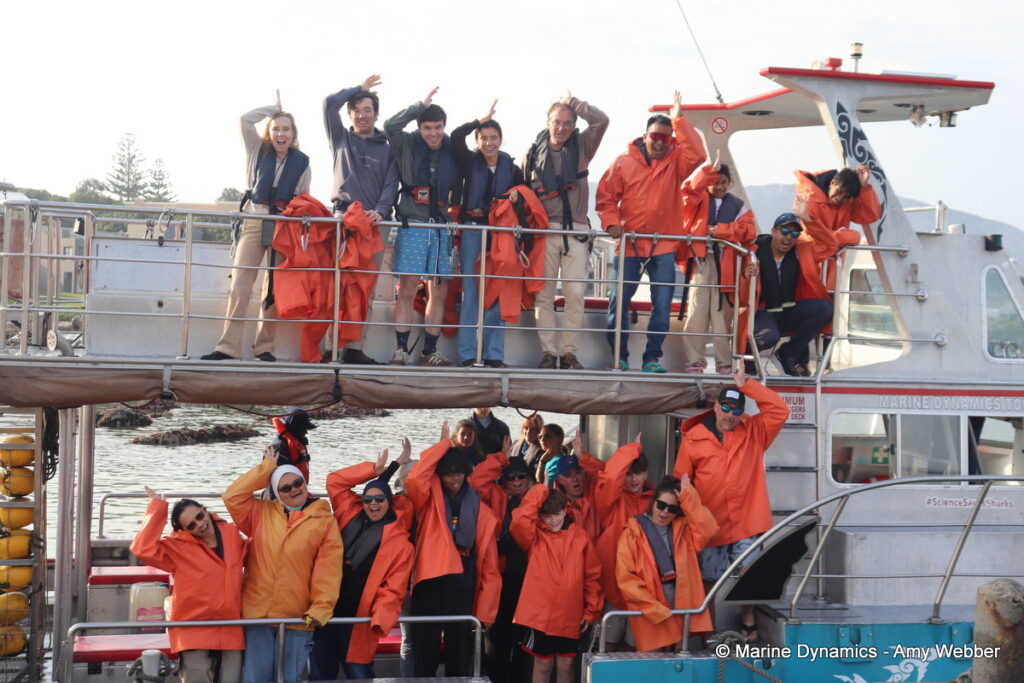 Shark cage diving, Gansbaai, South Africa
