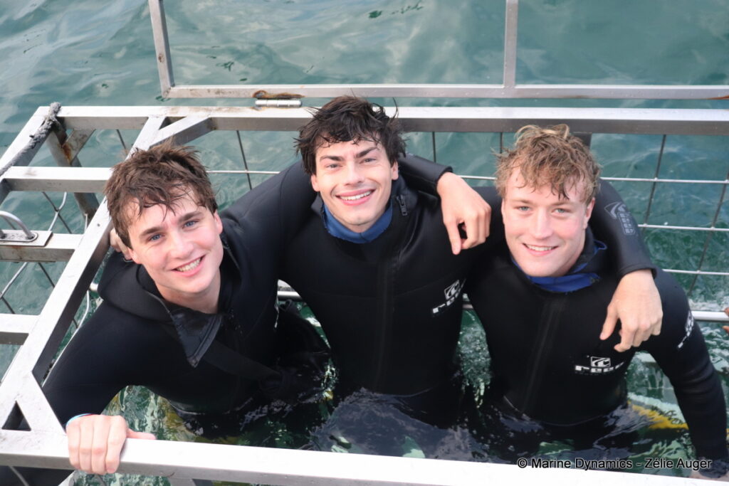 Shark cage diving, Gansbaai, South Africa