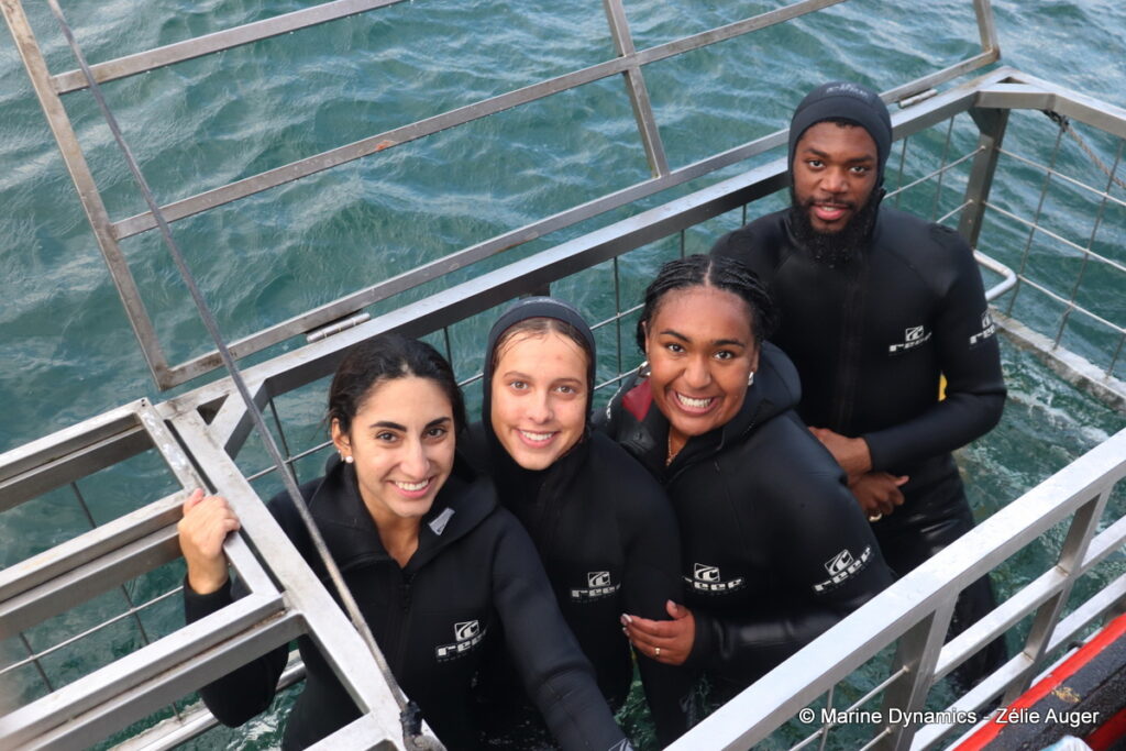 Shark cage diving, Gansbaai, South Africa