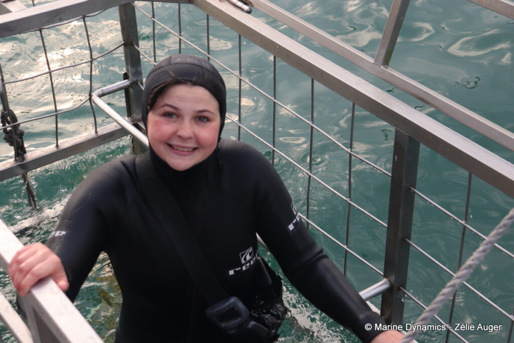 Shark cage diving, Gansbaai, South Africa