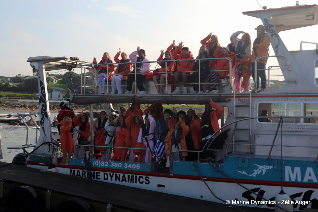 Shark cage diving, Gansbaai, South Africa