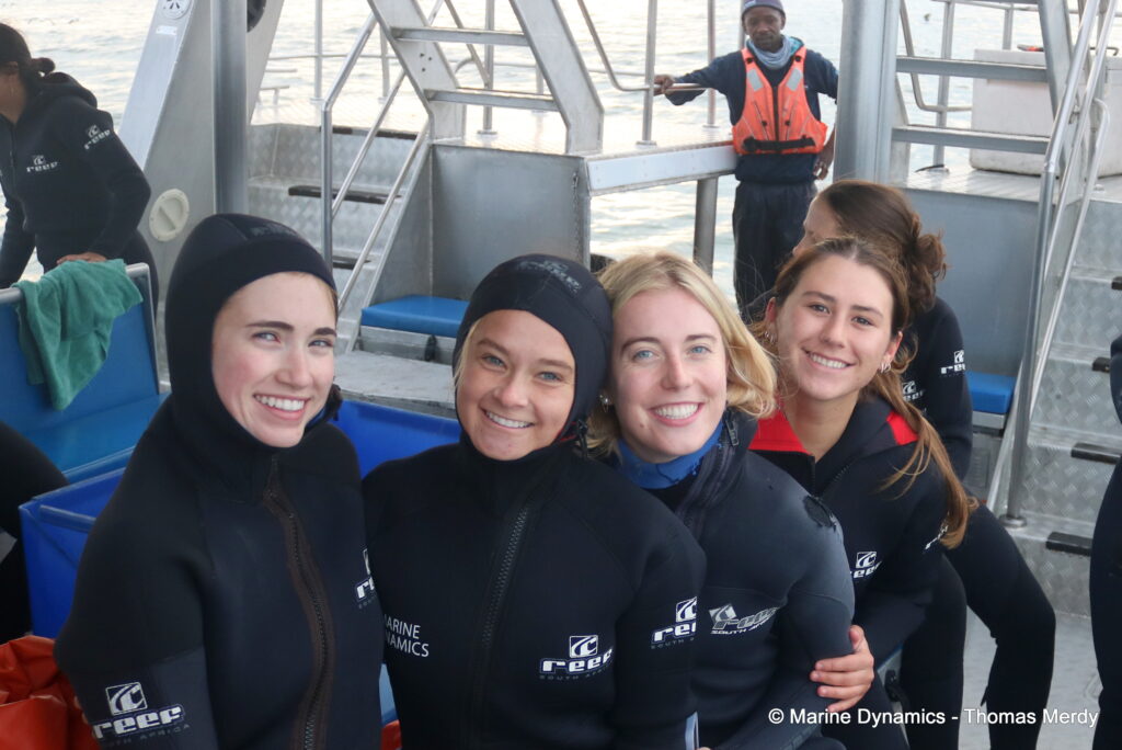 Shark cage diving, South Africa, Gansbaai