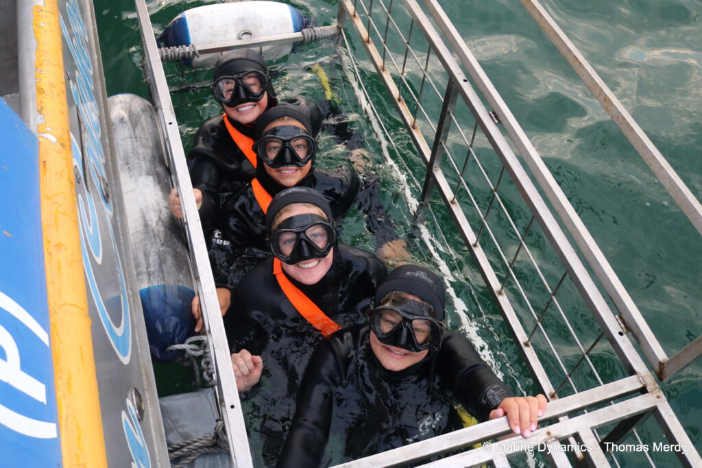 Shark cage diving, South Africa, Gansbaai