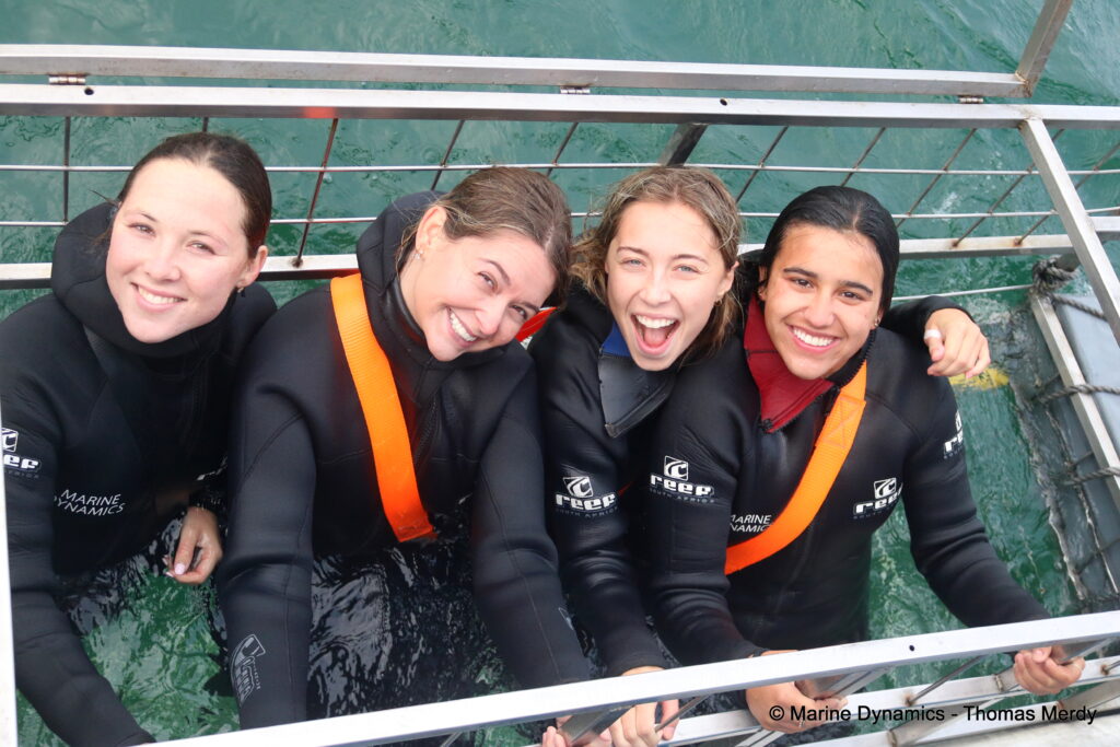 Shark cage diving, South Africa, Gansbaai
