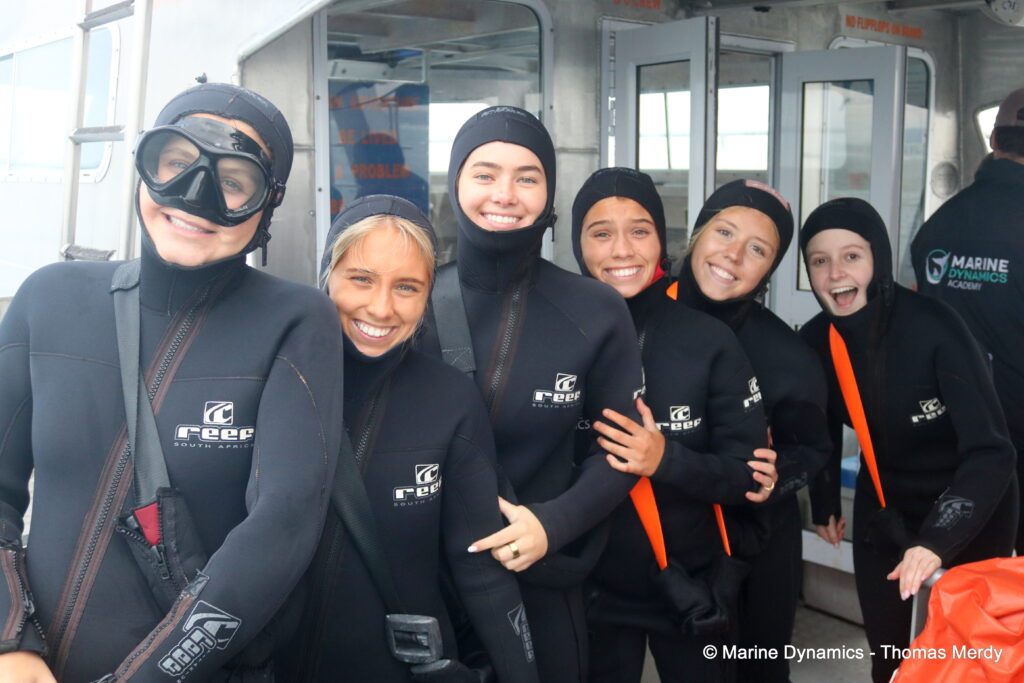 Shark cage diving, South Africa, Gansbaai