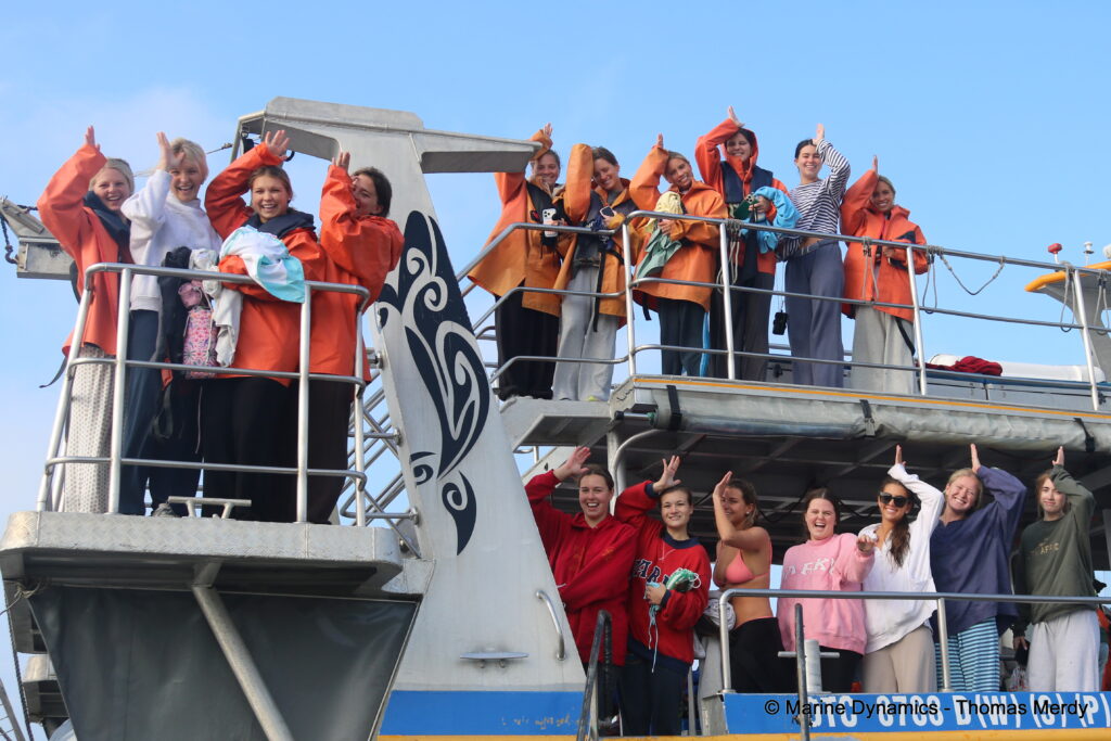 Shark cage diving, South Africa, Gansbaai
