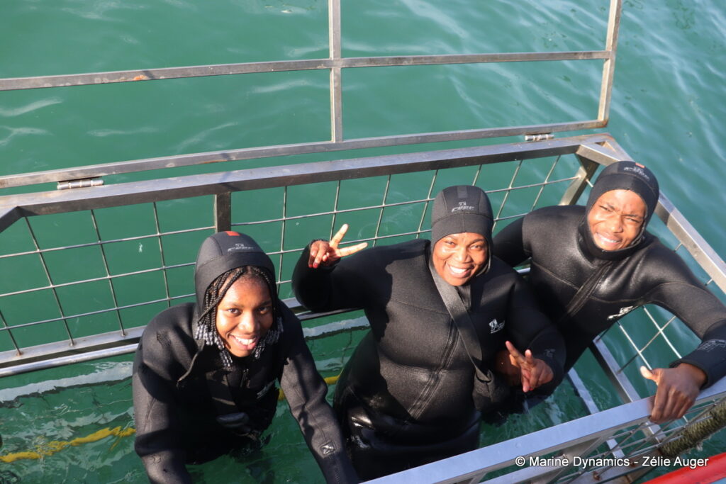 Shark cage diving, Gansbaai, South Africa