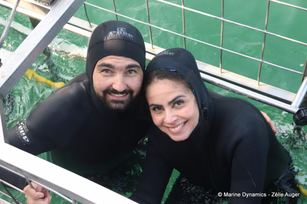Shark cage diving, Gansbaai, South Africa