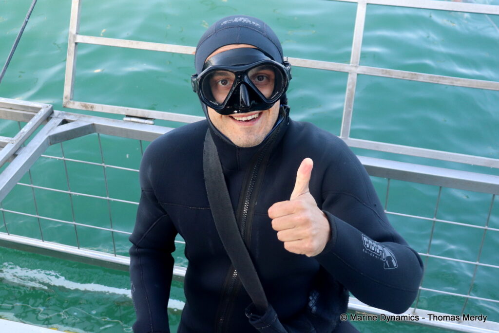Shark cage diving, Gansbaai, South Africa