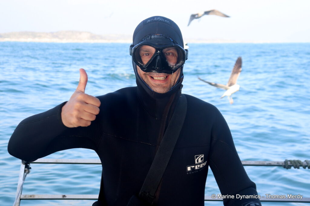 Shark cage diving, Gansbaai, South Africa