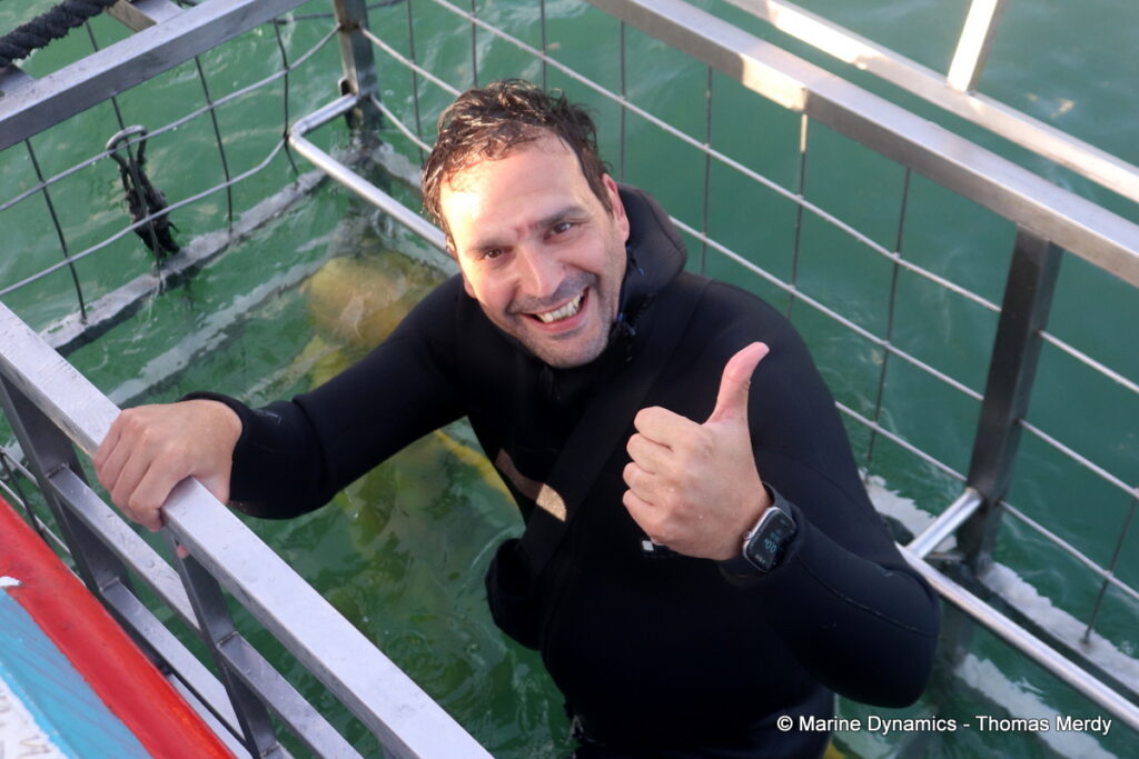 Shark cage diving, Gansbaai, South Africa