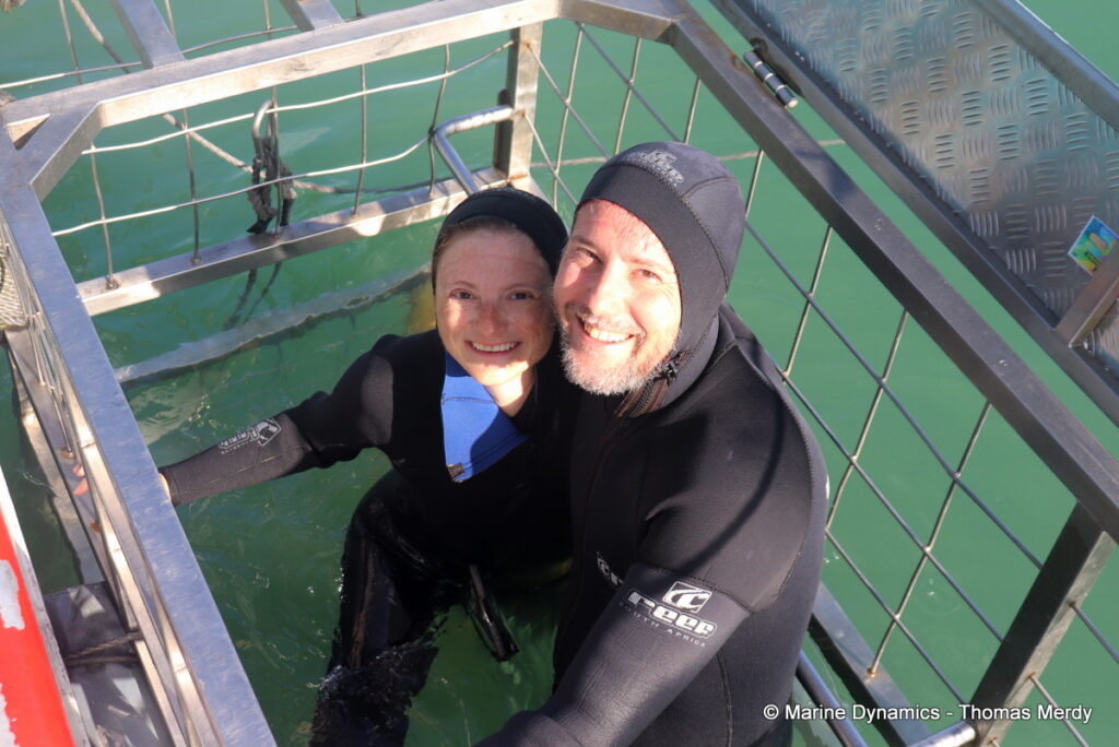 Shark cage diving, Gansbaai, South Africa