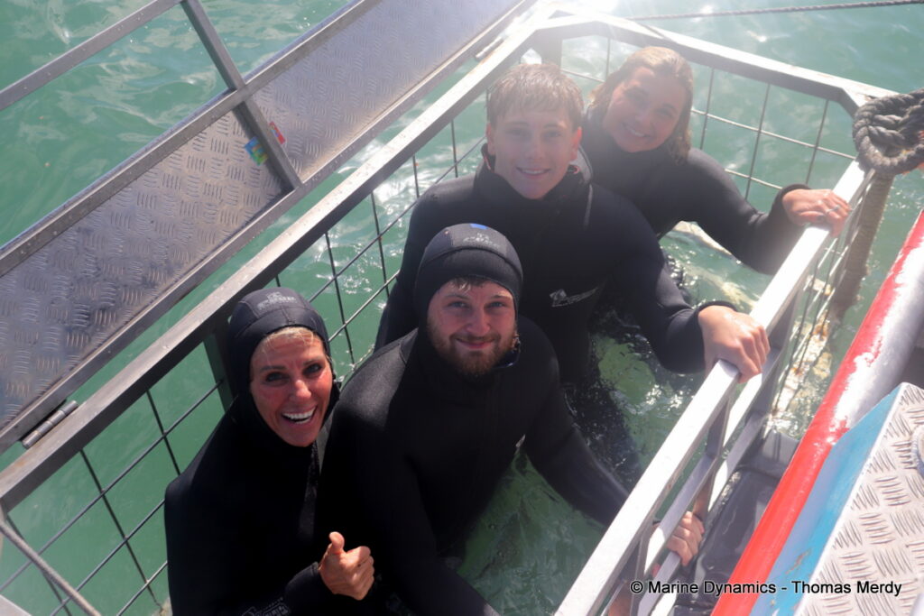 Shark cage diving, Gansbaai, South Africa