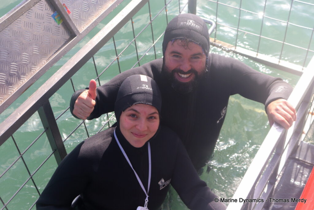 Shark cage diving, Gansbaai, South Africa