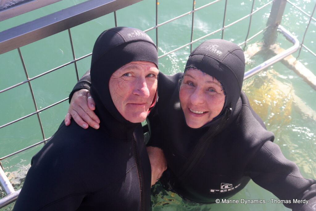 Shark cage diving, Gansbaai, South Africa