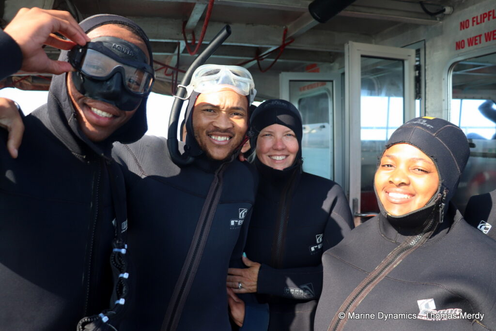 Shark cage diving, South Africa, Gansbaai