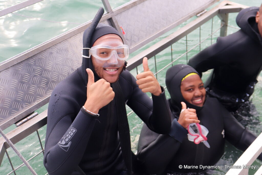Shark cage diving, South Africa, Gansbaai