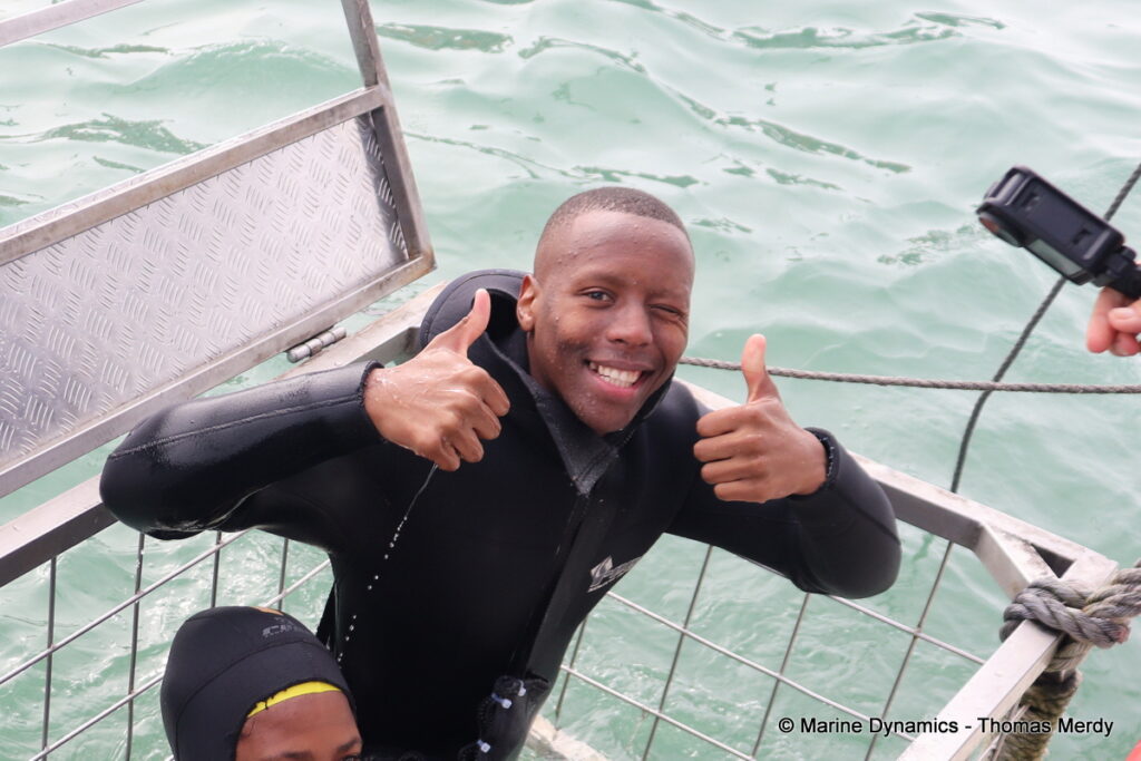 Shark cage diving, South Africa, Gansbaai