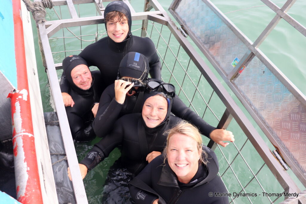 Shark cage diving, South Africa, Gansbaai