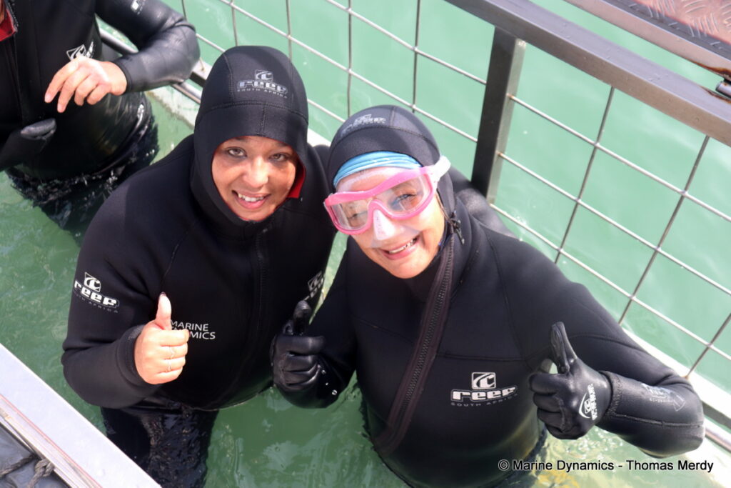 Shark cage diving, South Africa, Gansbaai