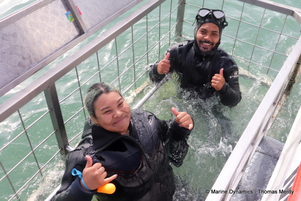 Shark cage diving, South Africa, Gansbaai