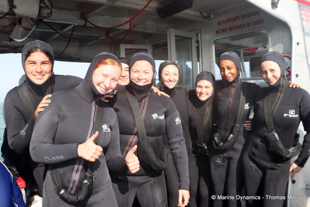 Shark cage diving, South Africa, Gansbaai