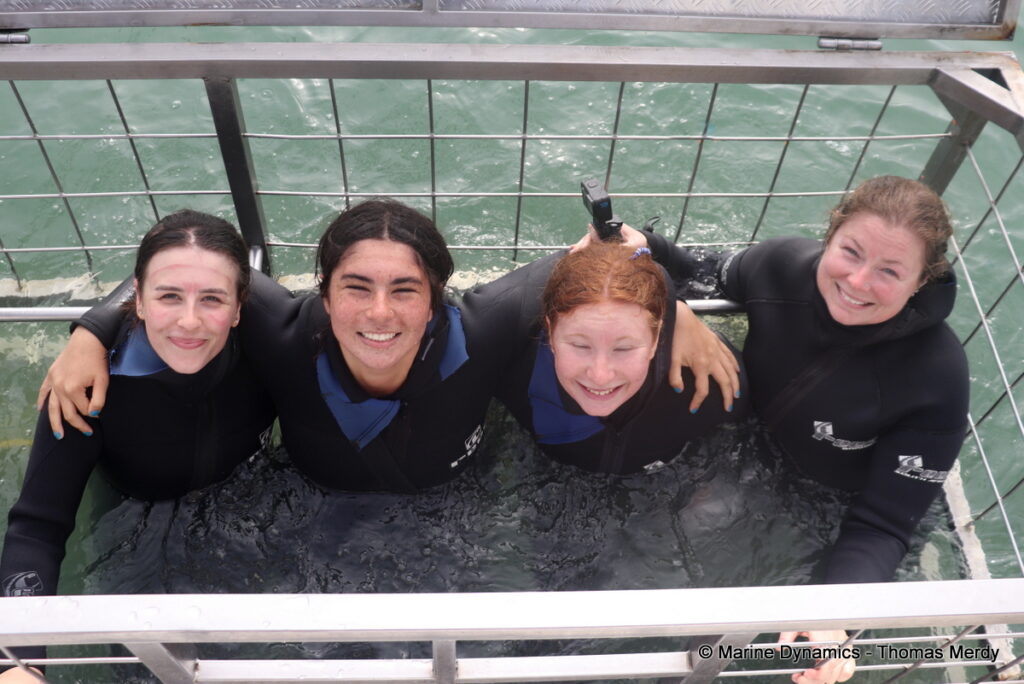 Shark cage diving, South Africa, Gansbaai