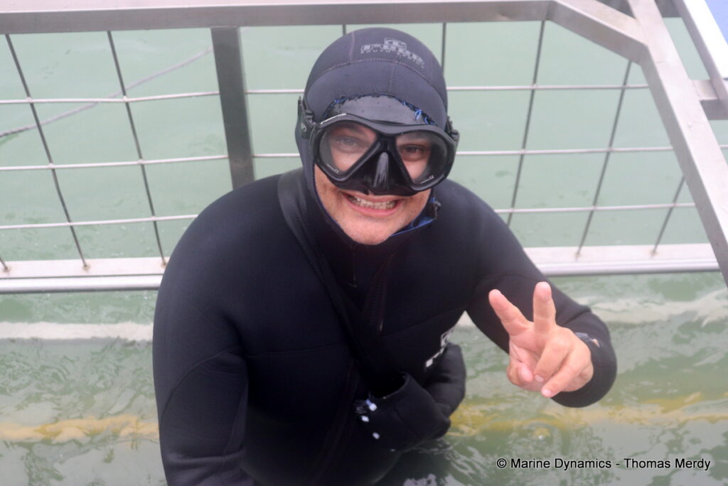 Shark cage diving, South Africa, Gansbaai