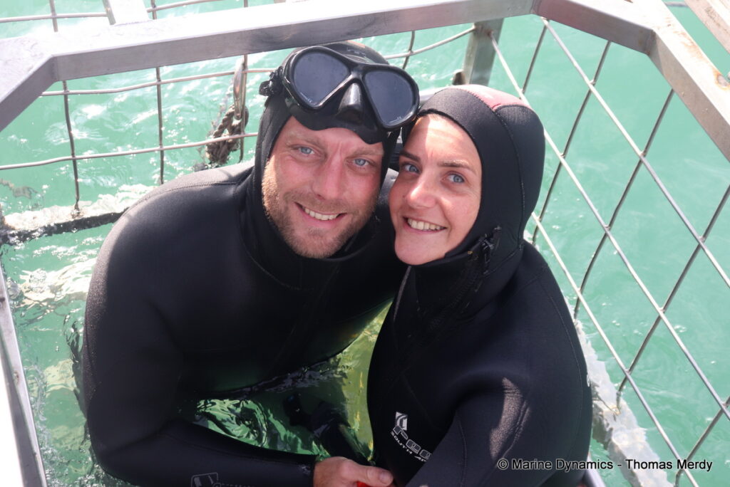 Shark cage diving, Gansbaai, South Africa