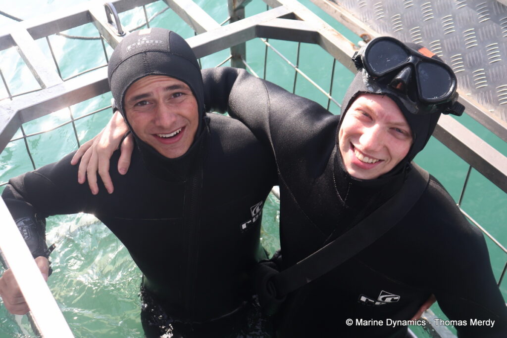 Shark cage diving, Gansbaai, South Africa