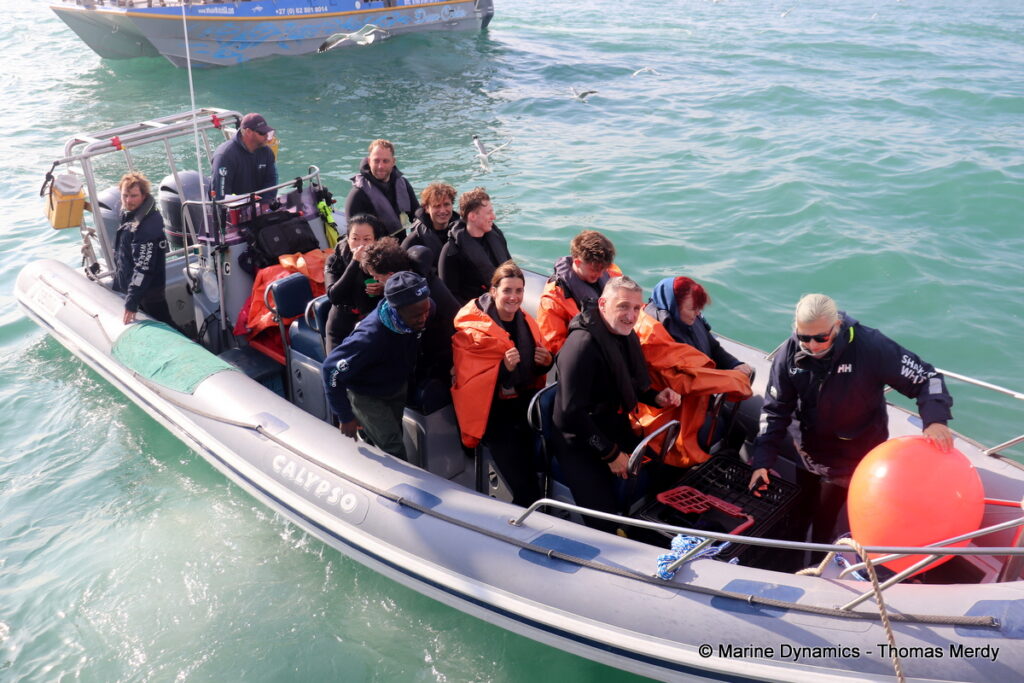 Shark cage diving, Gansbaai, South Africa