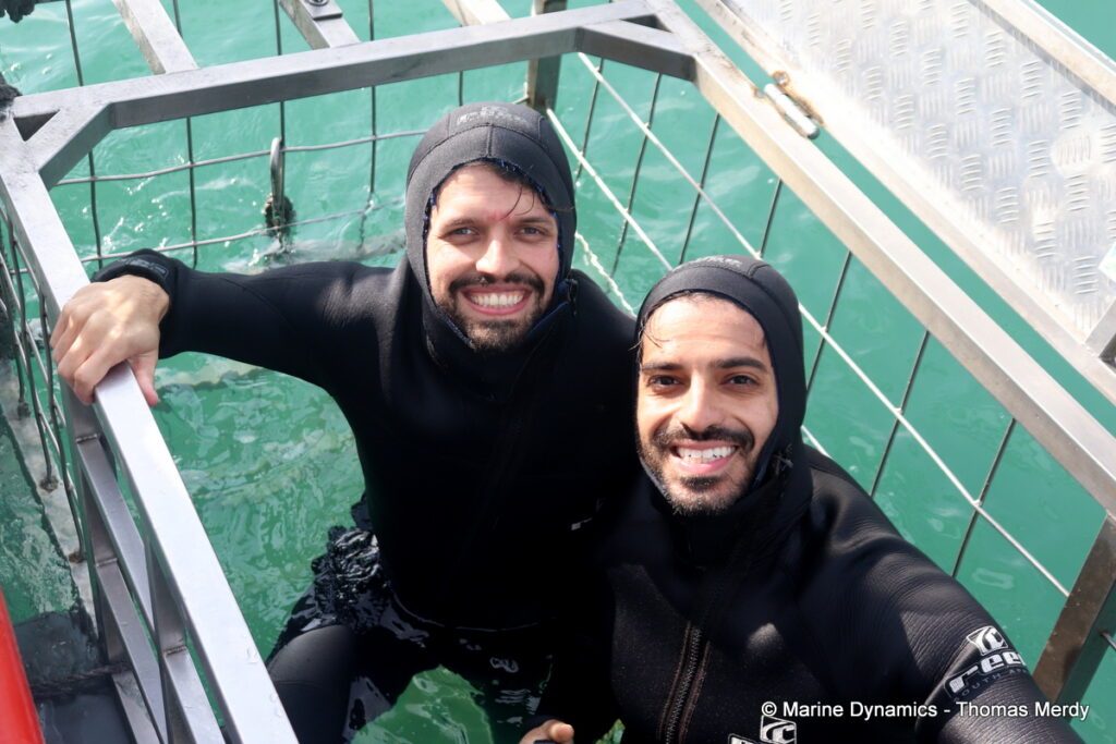 Shark cage diving, Gansbaai, South Africa