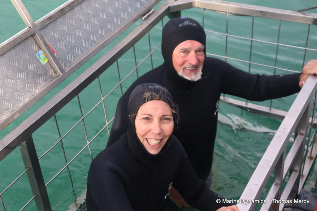 Shark cage diving, Gansbaai, South Africa