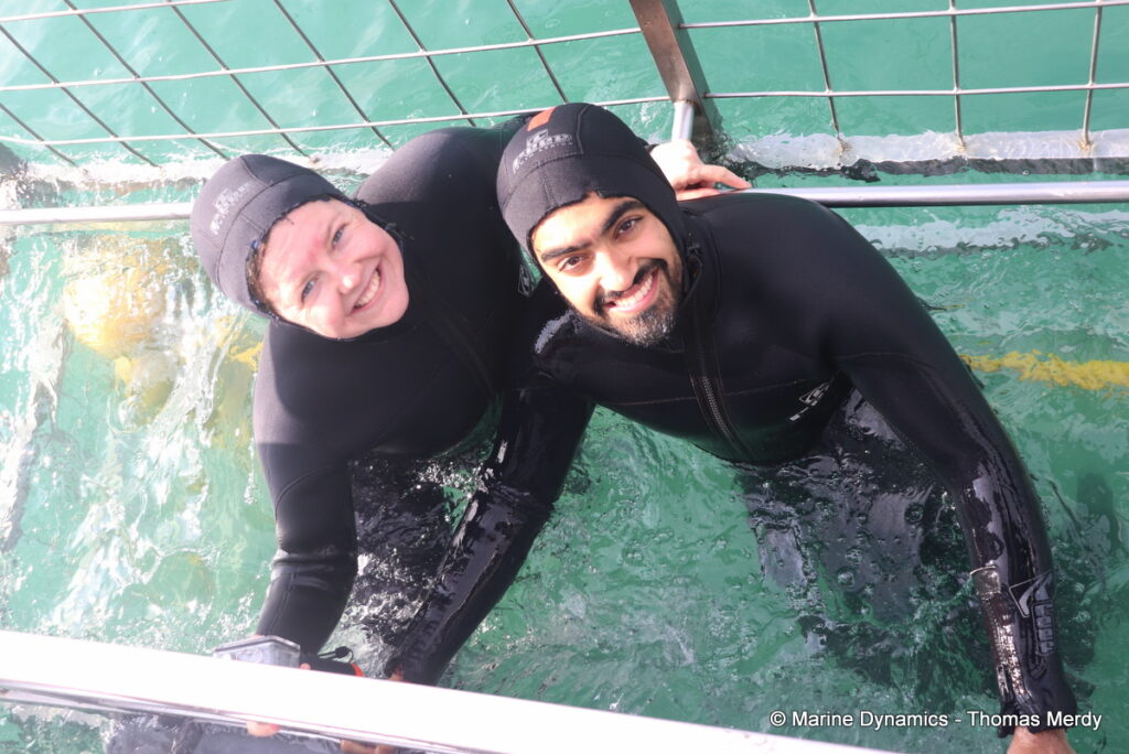 Shark cage diving, Gansbaai, South Africa