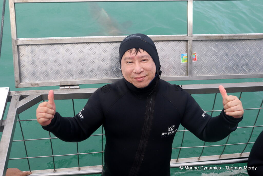 Shark cage diving, Gansbaai, South Africa