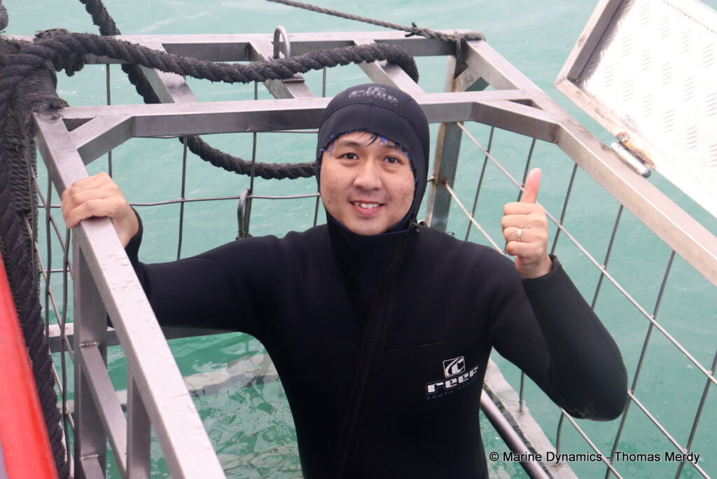 Shark cage diving, Gansbaai, South Africa