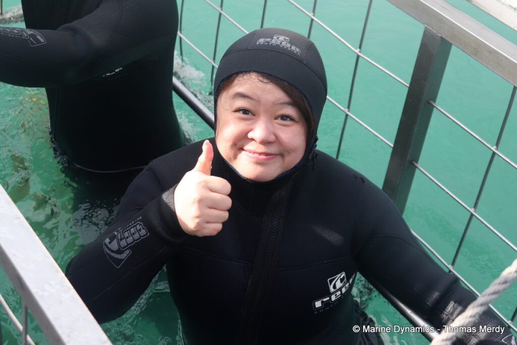 Shark cage diving, Gansbaai, South Africa