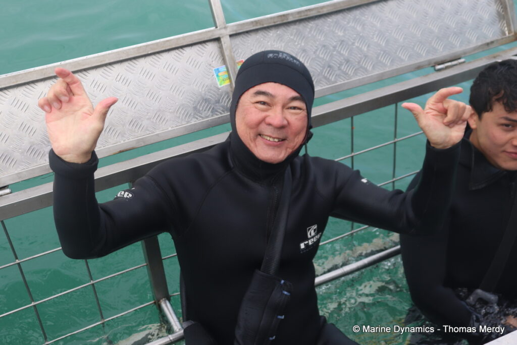 Shark cage diving, Gansbaai, South Africa