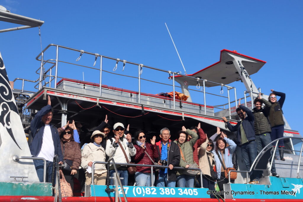 Shark cage diving, Gansbaai, South Africa