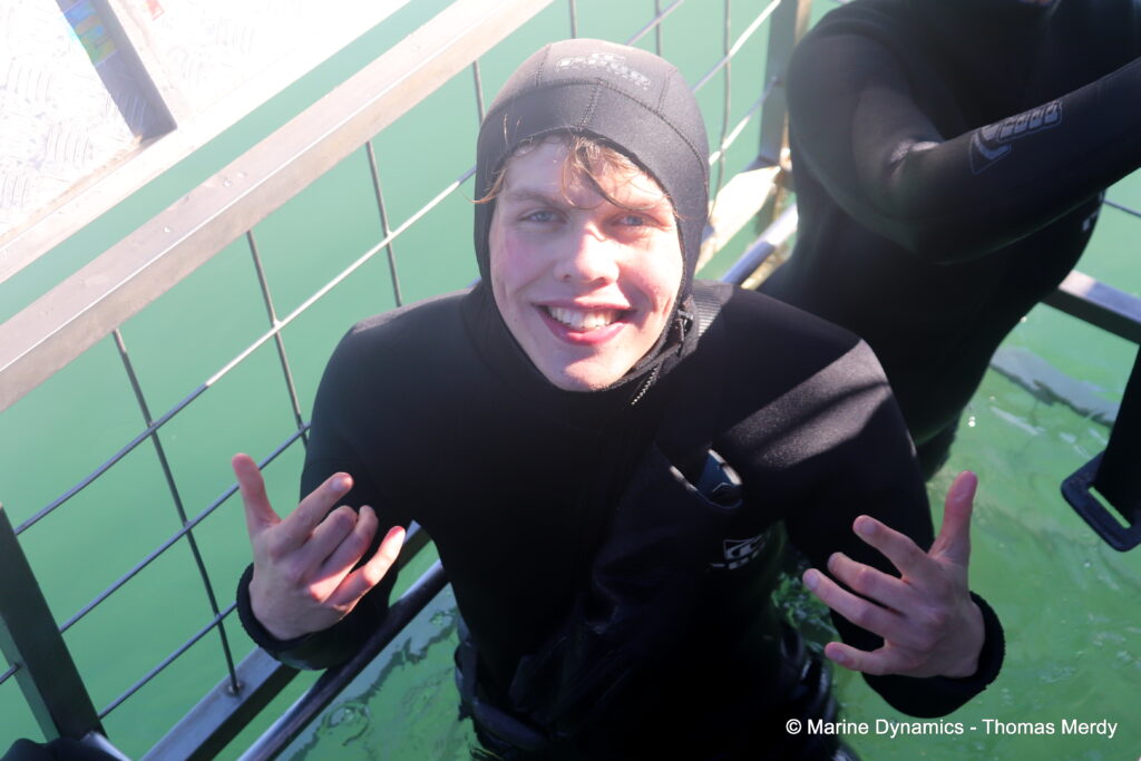 Shark cage diving, South Africa, Ganbsaai