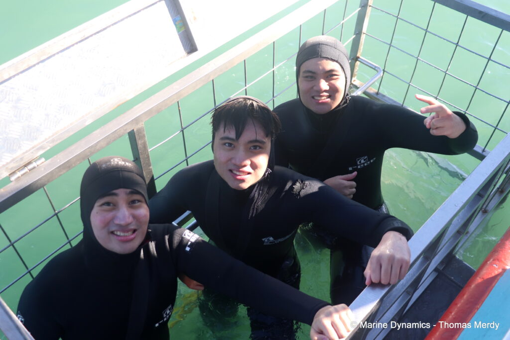 Shark cage diving, South Africa, Ganbsaai