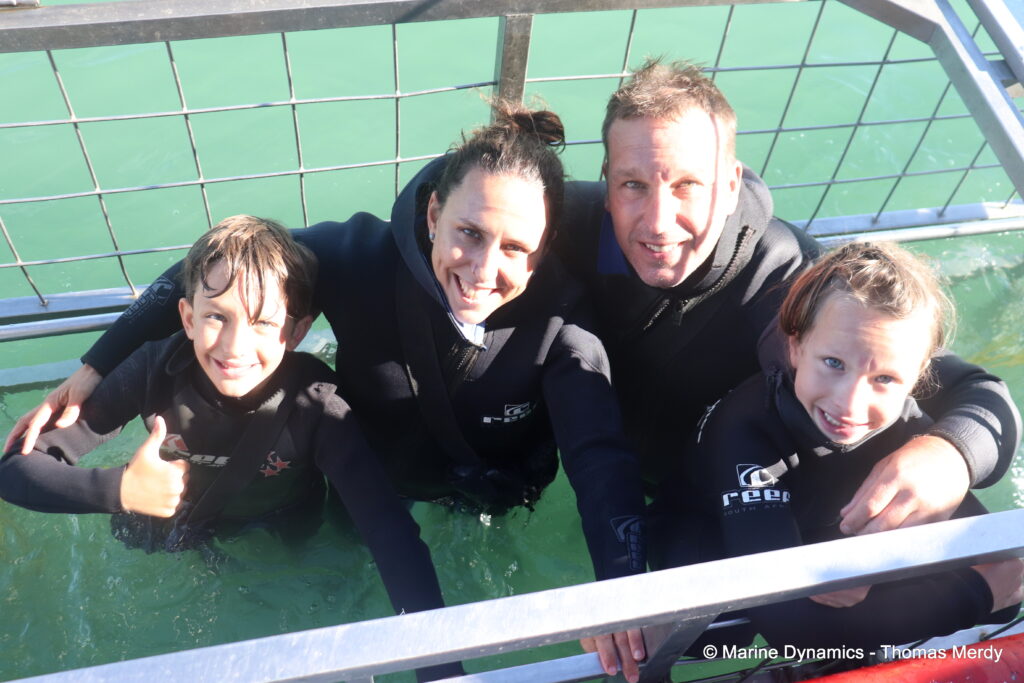 Shark cage diving, South Africa, Ganbsaai