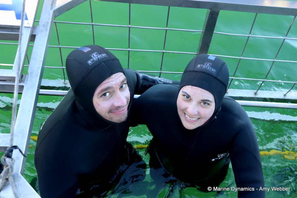 Shark cage diving, Gansbaai, South Africa