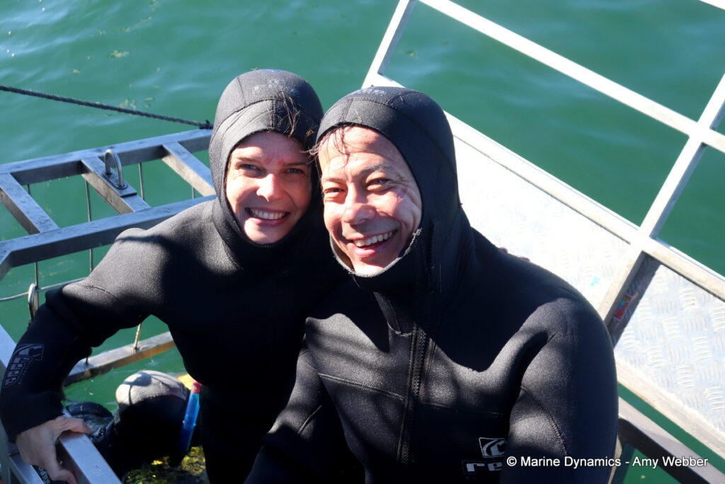 Shark cage diving, Gansbaai, South Africa