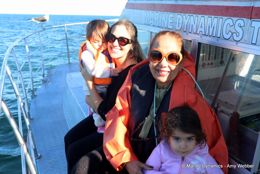 Shark cage diving, Gansbaai, South Africa